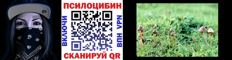 Псилоцибиновые грибы ЛСД  Первомайск 